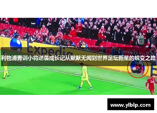利物浦青训小将逆袭成长记从默默无闻到世界足坛新星的蜕变之路