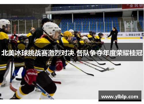 北美冰球挑战赛激烈对决 各队争夺年度荣耀桂冠
