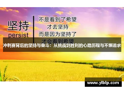冲刺赛背后的坚持与奋斗：从挑战到胜利的心路历程与不懈追求