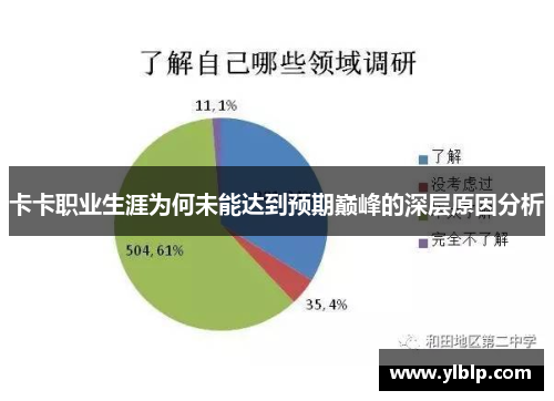 卡卡职业生涯为何未能达到预期巅峰的深层原因分析