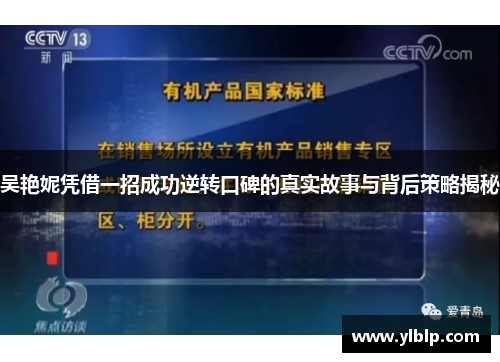 吴艳妮凭借一招成功逆转口碑的真实故事与背后策略揭秘
