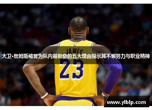 大卫·詹姆斯被誉为队内最勤奋的五大理由揭示其不懈努力与职业精神